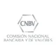 cnbv logo